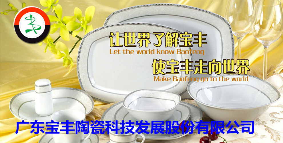 廣東寶豐陶瓷科技發(fā)展股份有限公司成立于2003年，占地總面積5萬(wàn)平方米，建筑面積3萬(wàn)平方米，2004年10月建成投產(chǎn)。現(xiàn)擁有兩條先進(jìn)遂道窯生產(chǎn)線(xiàn),主要生產(chǎn)中高檔日用陶瓷，產(chǎn)品遠(yuǎn)銷(xiāo)歐美，東南亞等國(guó)家。