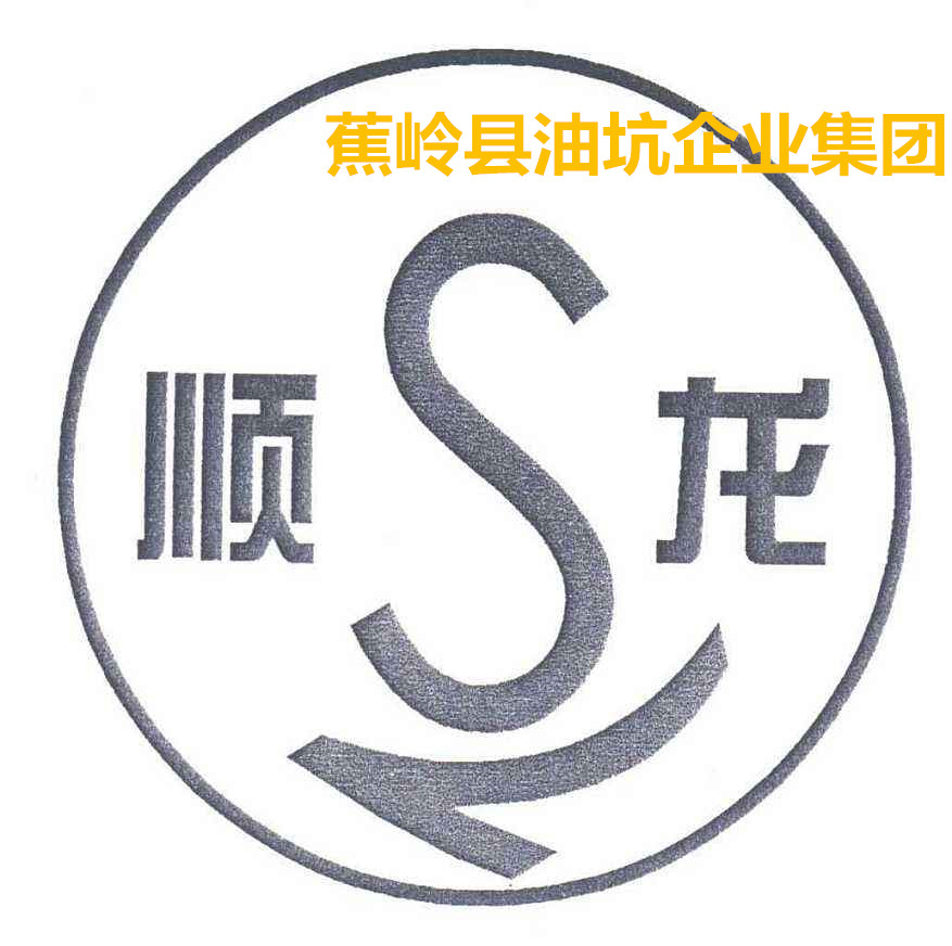 蕉嶺縣油坑企業(yè)集團(tuán)創(chuàng)建于1958年，是粵東地區(qū)水泥生產(chǎn)歷史最悠久的中I型企業(yè)，集團(tuán)總資產(chǎn)6.8億元，年產(chǎn)水泥350萬(wàn)噸。骨干企業(yè)龍騰旋窯水泥公司是廣東省清潔生產(chǎn)企業(yè)和循環(huán)經(jīng)濟(jì)試點(diǎn)企業(yè)。
